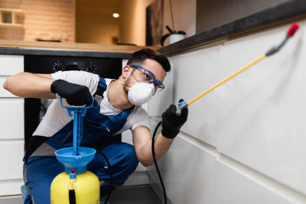 Best Affordable Pest Control Services  in Midvale, UT
