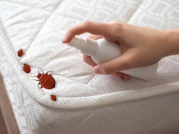 Best Spider Control Near Me  in Midvale, UT