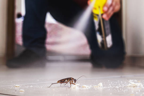 Best Rat Extermination Near Me  in Midvale, UT