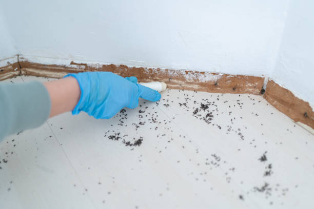 Best Commercial Pest Control Services  in Midvale, UT